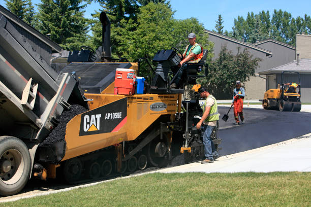 Best Professional Driveway Pavers  in Danville, IA
